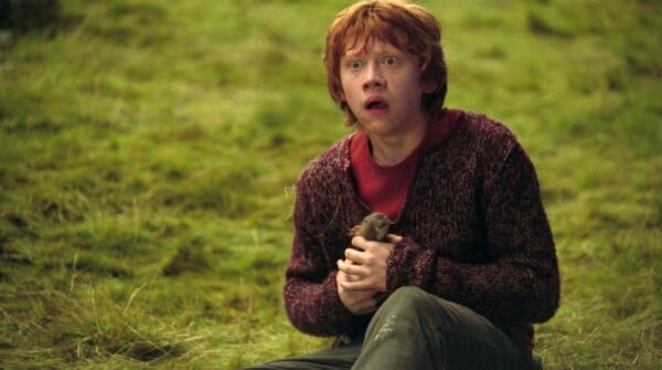 ron weasley, harry potter, croûtard