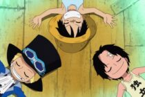 One Piece : auras-tu 10/10 à ce quiz sur le trio Luffy, Sabo et Ace ?