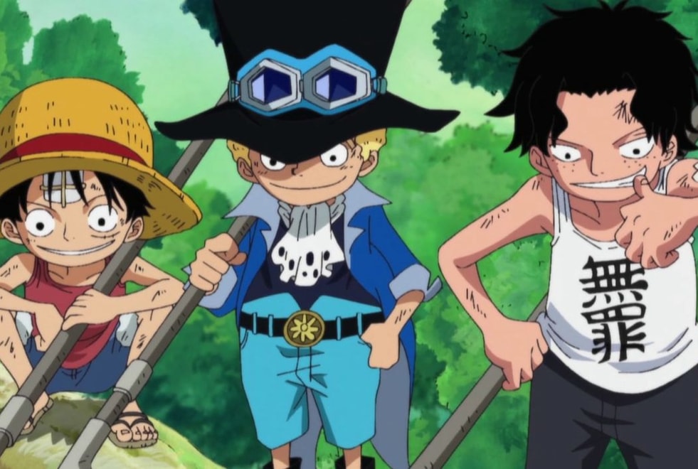 Quiz One Piece : élimine 5 personnages, on te dira si tu es Ace, Sabo ou Luffy