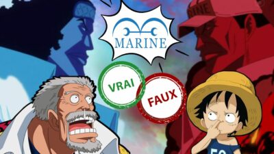 One Piece : seul un fan aura 10/10 à ce quiz vrai ou faux sur la Marine