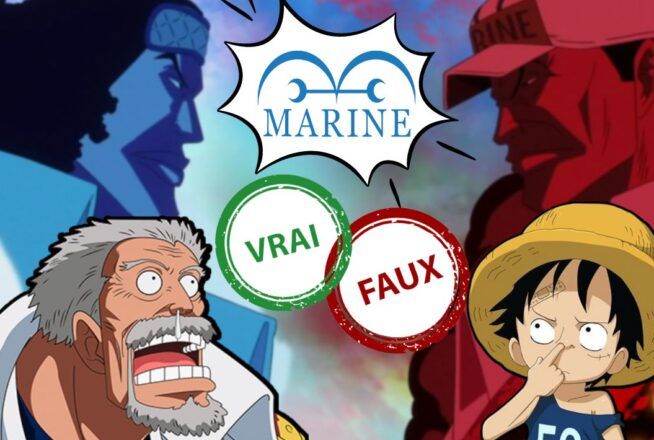One Piece : seul un fan aura 10/10 à ce quiz vrai ou faux sur la Marine