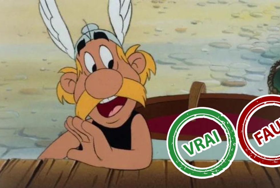 Astérix : impossible d’avoir 5/5 à ce quiz vrai ou faux sur le gaulois