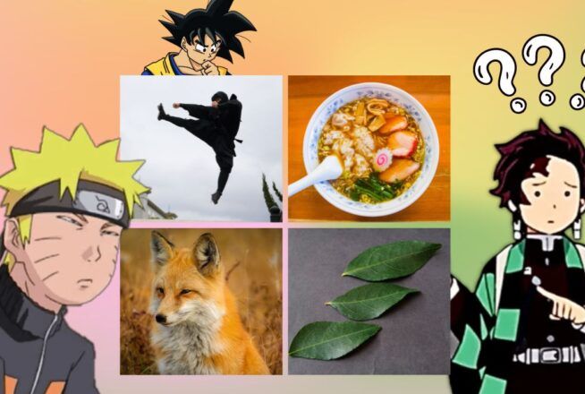 Quiz : quel personnage d’anime se cache derrière ces 4 images ?