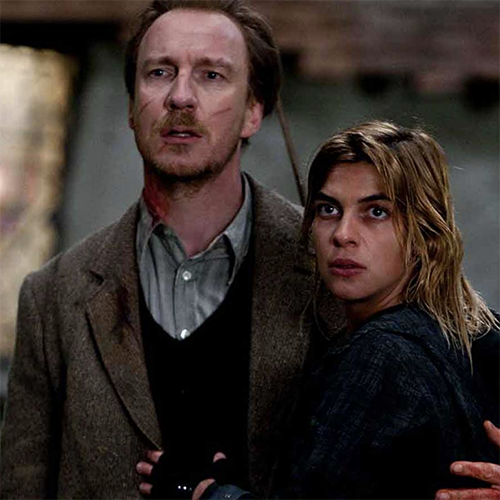 Remus Lupin et Nymphadora Tonks 