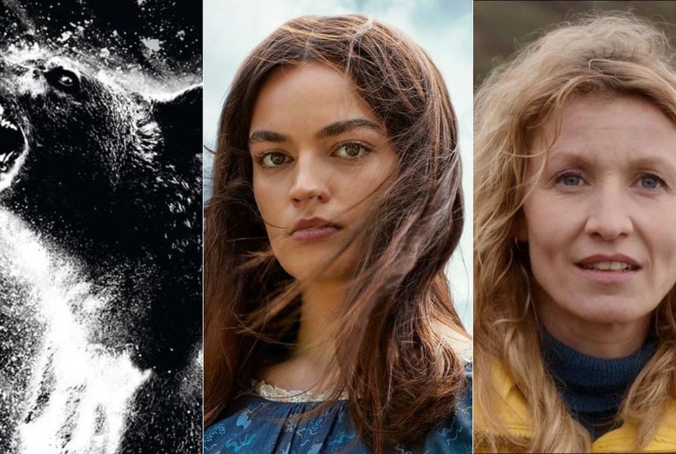 Crazy Bear, Emily… Les films à découvrir au cinéma à partir du 15 mars