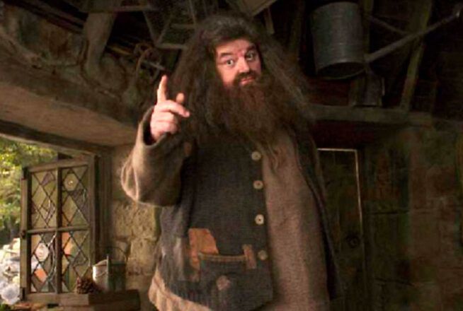 Hogwarts Legacy : les fans repèrent un hommage à Robbie Coltrane (Hagrid) dans le jeu