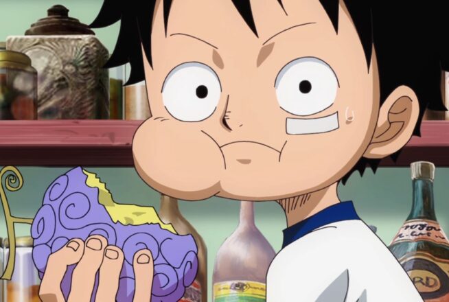 One Piece : choisis un Fruit du Démon on te dira comment tu meurs dans l’anime