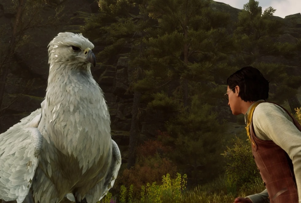 Hogwarts Legacy : comment capturer toutes les créatures magiques ?
