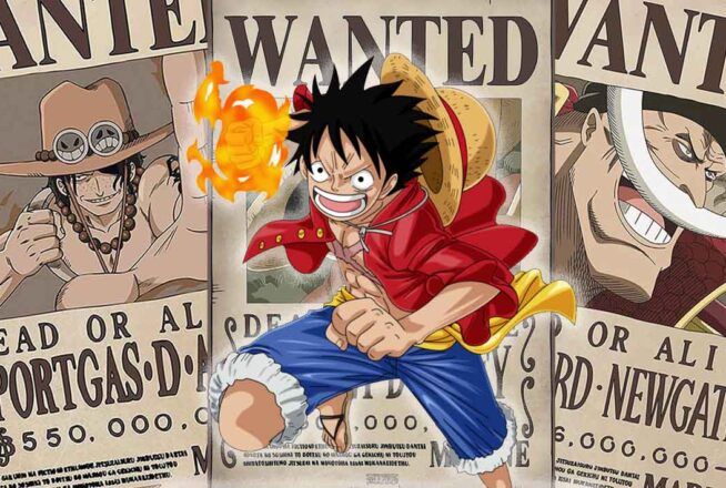 Quiz One Piece : élimine 3 personnages, on te dira si tu as une prime ou pas