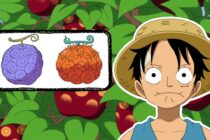 One Piece : les 5 fruits du démon les plus pourris
