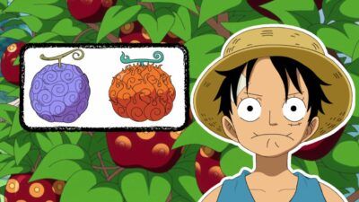 One Piece : seul Luffy aura 10/10 à ce quiz sur les Fruits du Démon