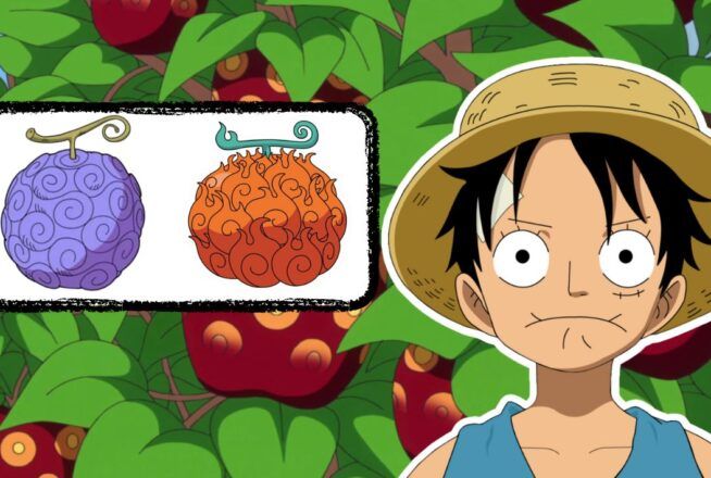 One Piece : seul Luffy aura 10/10 à ce quiz sur les Fruits du Démon