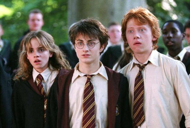 Sondage : qui aurais-tu préféré sacrifier entre Harry Potter, Hermione Granger et Ron Weasley ?