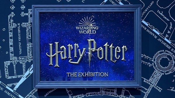 5-harry-potter-exposition
