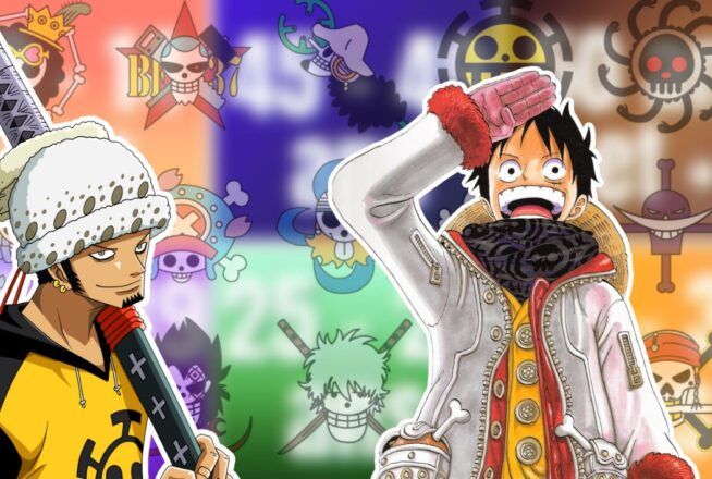 Quiz One Piece : ton âge te dira quel équipage pirate tu rejoins