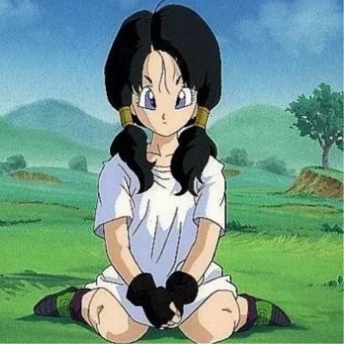 Videl