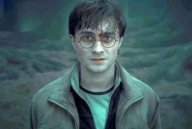 Sondage : penses-tu que la série Harry Potter est une bonne idée ?