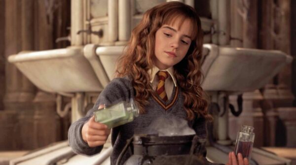 hermione granger, polynectar, harry potter et la chambre des secrets