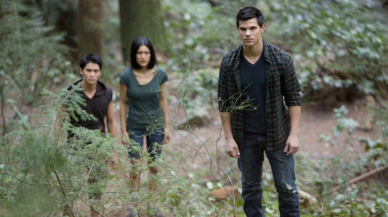 11-twilight