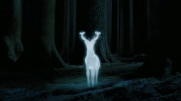 harry potter cerf patronus