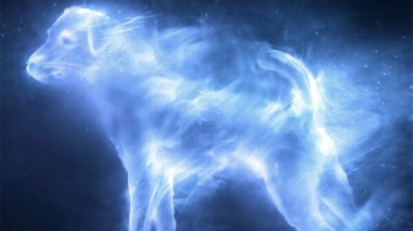 harry potter jack russell patronus