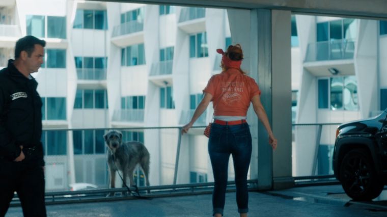 série hpi, morgane alvaro, audrey fleurot, chien, emilien kerr, tf1