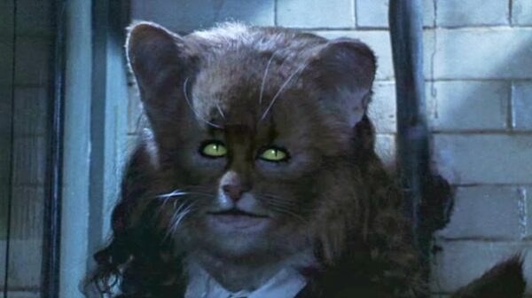 harry-potter-hermione-chat