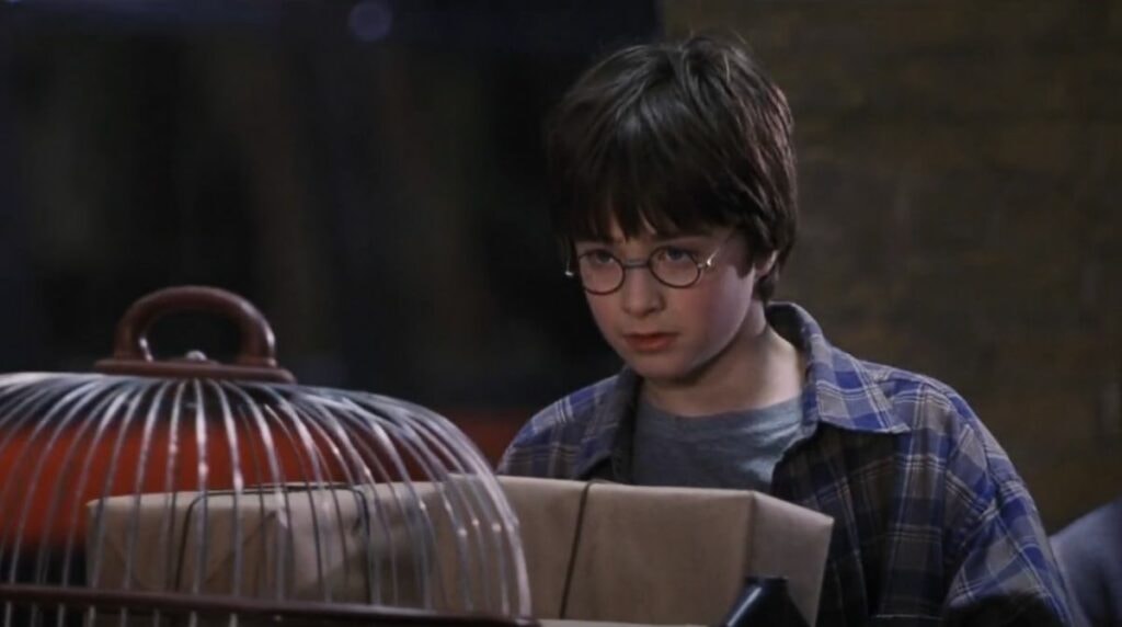 harry potter (daniel radcliffe) sur le quai de king's cross dans harry potter à l'école des sorciers