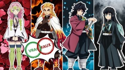 Quiz Demon Slayer : seul un vrai fan aura 10/10 à ce vrai ou faux sur les piliers