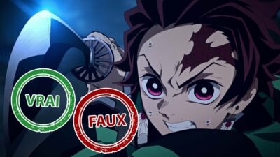 Quiz Demon Slayer : seul un fan aura 7/10 ou plus à ce Vrai ou Faux sur Tanjiro