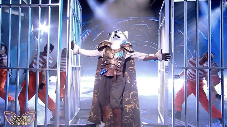mask singer, husky, vincent niclo