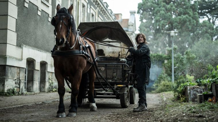 the walking dead, daryl dixon, norman reedus, spin-off