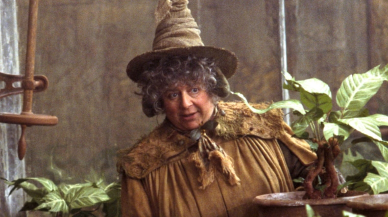harry-potter-pomona-chourave-miriam-margolyes