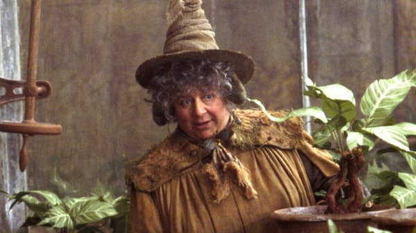 harry-potter-pomona-chourave-miriam-margolyes