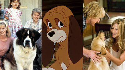 Quiz : seul un spécialiste peut nommer ces 5 chiens de films