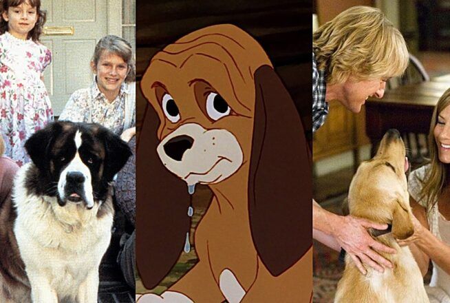 Quiz : seul un spécialiste peut nommer ces 5 chiens de films