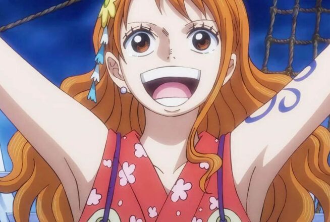 One Piece : seul un Mugiwara aura 10/10 à ce quiz Vrai ou Faux sur Nami