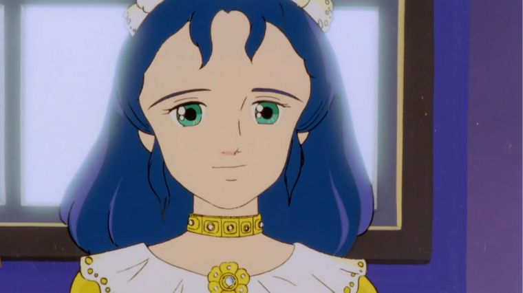 princesse-sarah-detail-solution