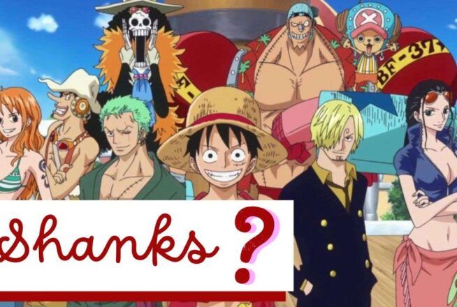 Quiz : ces 5 personnages de One Piece existent-ils ? #Saison2