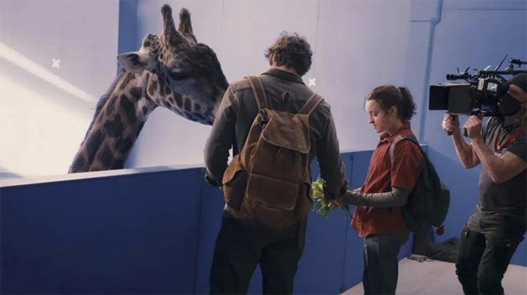 Image des coulisses de la série The Last of Us avec la girafe Nabo