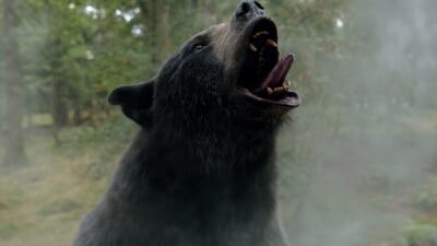 Crazy Bear : l'histoire vraie à l'origine de la comédie horrifique