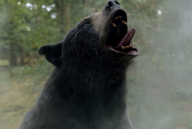 Crazy Bear : l&rsquo;histoire vraie à l&rsquo;origine de la comédie horrifique