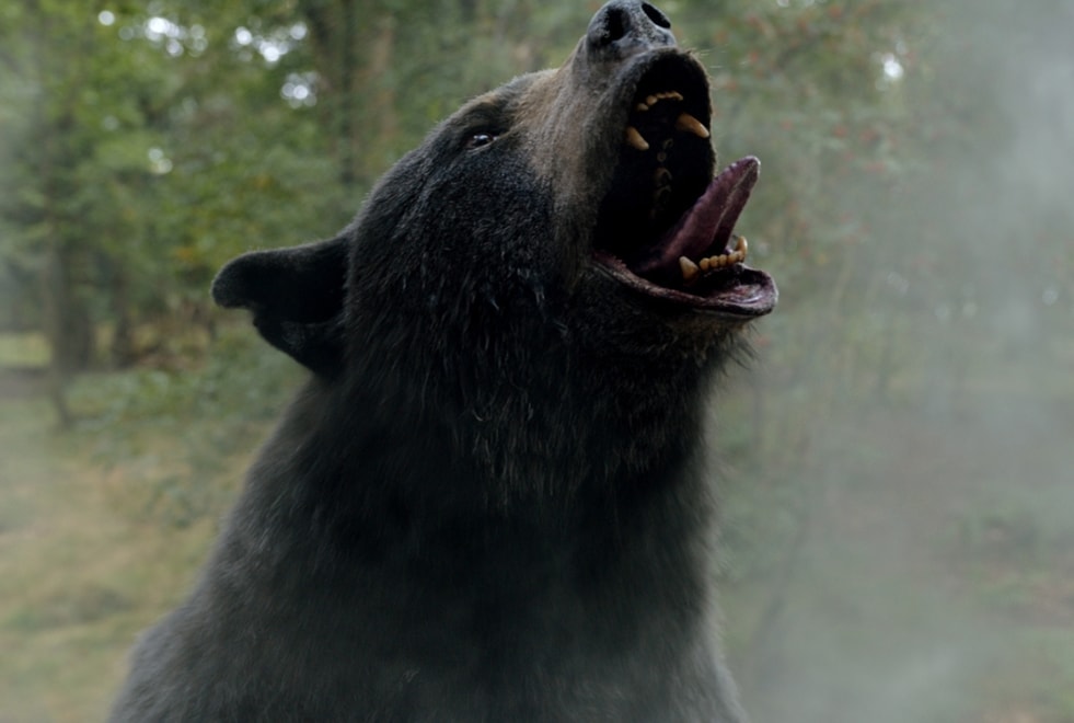 Crazy Bear : l’histoire vraie à l’origine de la comédie horrifique
