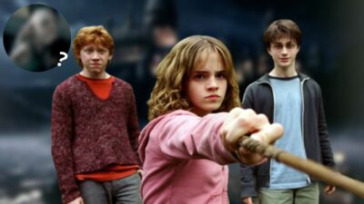 Quiz Harry Potter : les moldus ne reconnaîtront pas plus de 5 persos floutés