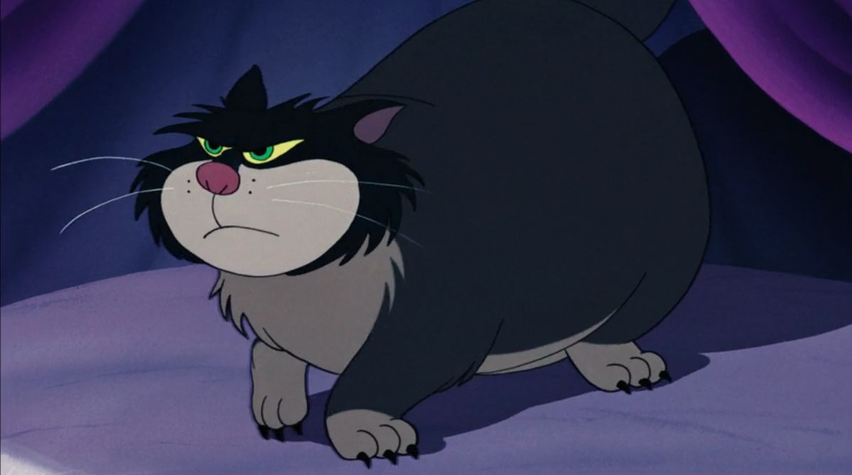 quiz disney, personnage, lucifer, chat cendrillon