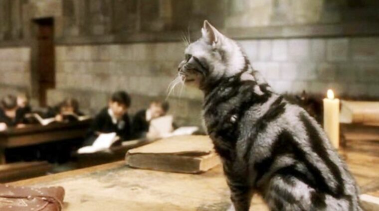 minerva-mcgonagall-harry-potter-2