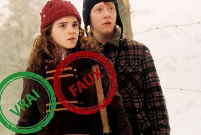 Même Harry Potter n&rsquo;aura pas 10/10 à ce quiz vrai ou faux sur Ron et Hermione