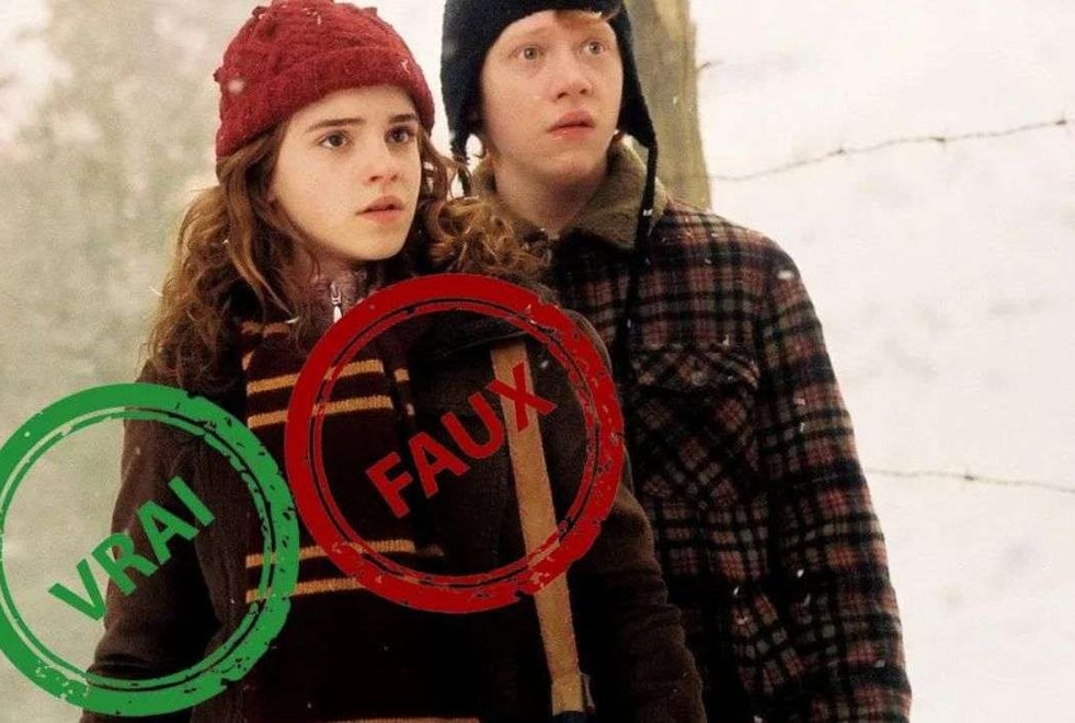 Même Harry Potter ne peut pas avoir 10/10 à ce quiz vrai ou faux sur le couple Ron et Hermione