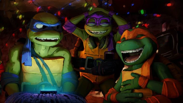 Les frères tortues dans Ninja Turtles Teenage Years