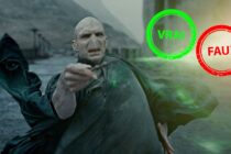 Harry Potter : t&rsquo;es un moldu si t&rsquo;as moins de 15/20 à ce quiz vrai ou faux sur Voldemort